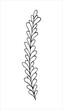 Beautiful hand drawn twig in doodling style.