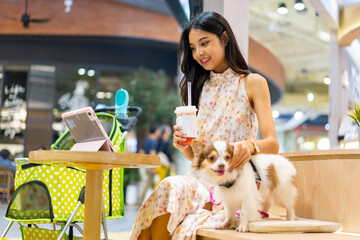 Asian woman working on digital tablet with chihuahua dog at pets friendly cafe shopping mall. Domestic dog and owner enjoy urban lifestyle in the city. Pet parents and work from anywhere concept.