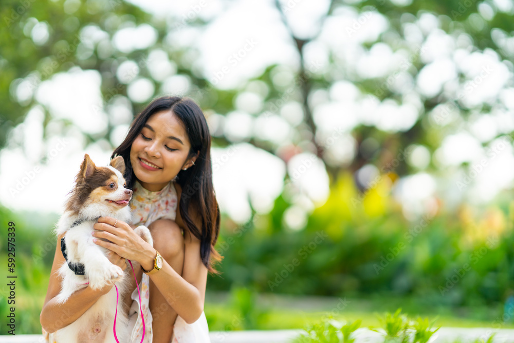 Asian woman walking with chihuahua dog at pets friendly dog park ...