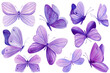 Set of purple butterflies on isolated white background, watercolor illustration, beautiful butterfly