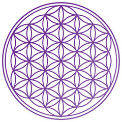 Wall Mural - flower of life spiritual symbol purple chakra