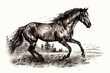 Hand drawn ink illustration of a wild horse in its natural habitat. Generative AI.