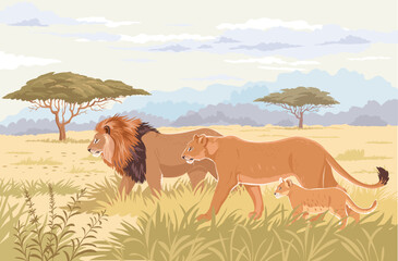 lions africa