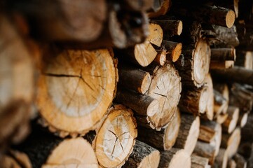 Sticker - Selective focus shot of a stockpile of the logs and wood outdoors with blur background