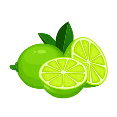 Wall Mural - lime fruit and half lime fruit isolated on white background. Vector eps 10. Perfect for wallpaper or design elements.