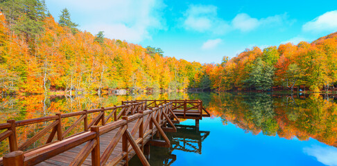 Poster - Autumn forest landscape reflection on the water with - Autumn landscape in (seven lakes) National park of  Yedigoller, Bolu 