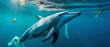 generative ai illustration of a dolphin whose tail fin is wrapped with a piece of plastic