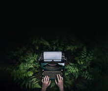 Writer Creativity Imagination Concept, Typewriter Flying Over Green Forest Foliage Nature Landscape, Poster With Copy Space. Generative AI