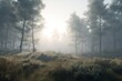 A minimalist landscape with a peaceful forest or woodland, Generative AI