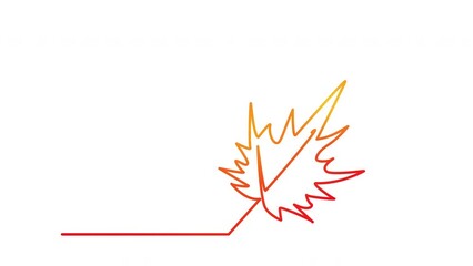Wall Mural - Maple leaf outline self drawing animation. Line art. Luma matte. Red yellow color.