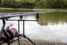 Three Rods With Reels On Stand Ready For Carp Fishing In A Beautiful Lake. Spools Of Coiled Purple Line Close Up.	
