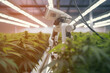 © starush - A camera mounted to the side of a plant in a greenhouse. AI generative image