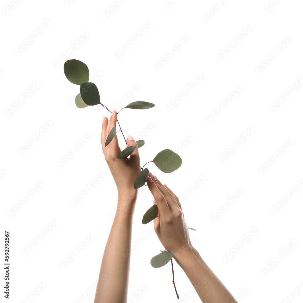 Woman with eucalyptus branch on white background. Hand care concept