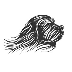 Poster - Shih tzu dog head design isolated on transparent background. Pet.