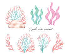 Cute Colorful Coral Reef And Seaweed Pastel Watercolor Collection, Cartoon Children Hand Painting Illustration