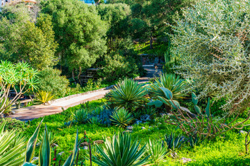 la alameda botanical garden in gibraltar town, uk