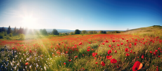 Wall Mural - panorama with field meadow with blooming spring flowers against blue sky in summer. Generative AI illustration
