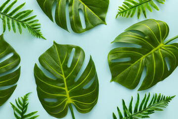 Summer background with green tropical palm leaves on light background. Flat lay, top view.