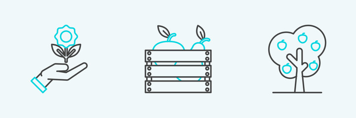 Sticker - Set line Tree with apple, Hand holding flower and Wooden box for fruits vegetables icon. Vector