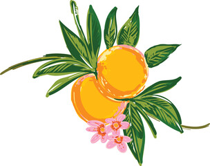 Wall Mural - Hand drawn Summer  Orange and Lime Illustration