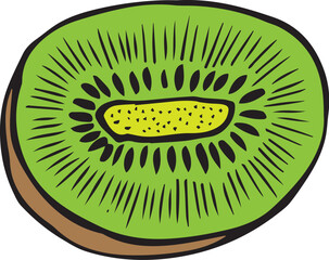 Wall Mural - vector kiwi fruit illustration design