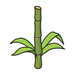 Wall Mural - Stem of sugar cane vector icon.Color vector icon isolated on white background stem of sugar cane .