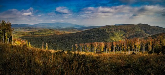 Sticker - Panoramic shot of mountain forests under the cloudy sky