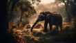 Elefant in der Savanne Afrika ganzer Körper von der Seite