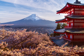 Wall Mural - Red chureito pagoda with cherry blossom and Fujiyama mountain on the night