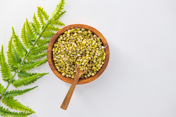 Wall Mural - Sprouting green gram bean in wooden bowl and spoon, decorated with an isolated white background. Sprouts isolated in white background and decorative.