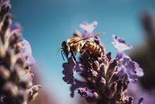 A Bee Is Sitting On A Flower With Purple Flowers In The Background And A Blue Sky In The Background. Generative AI