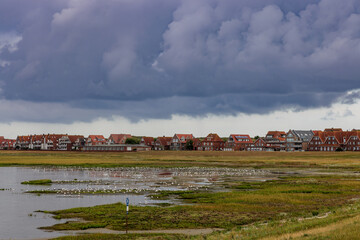 Poster - View over wadden sea and salt marshes on Juist, East Frisian Islands, Germany.