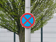 Close-up photo of No Parking traffic sign on a metal pole with the tree in the background