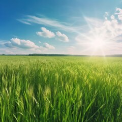 Sticker - A lovely panoramic natural landscape of a green grassy field against a blue sky with sun. Background blurred in the spring and summer . generative ai