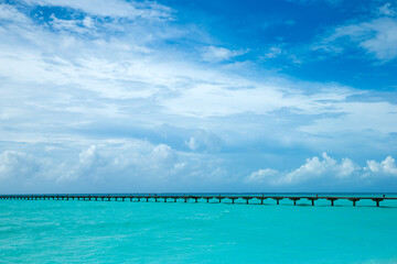 Wall Mural - beautiful beach and tropical sea