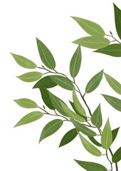 Naklejka na meble branch with green leaves, watercolor illustration