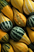 Close-up Shot Of Decorative Gourds - Perfect For Wallpaper