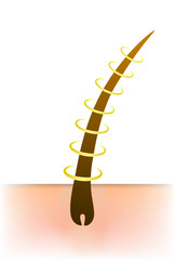 Hair health illustration