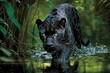 Black panther walking on rainforest. Generative Ai