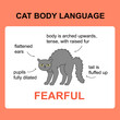 Cat body language behavior fearful signals. Card with information for veterinarian or education ready for print