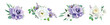 Vector watercolor style purple, violet bouquet. Garden rose flowers, helleborum, lisanthus, eucalyptus greenery leaves. Chic editable illustration set. Spring, summer stylish wedding invite decoration