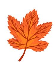 Wall Mural - Autumn orange leaf vector illustration isolated on white background