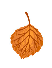 Wall Mural - Autumn orange leaf vector illustration isolated on white background
