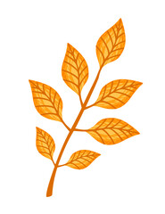 Wall Mural - Autumn orange leaf vector illustration isolated on white background
