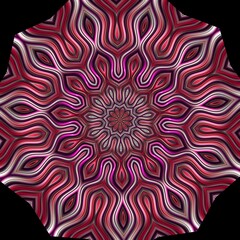 Poster - Fractal red - Mandelbrot set detail, digital artwork for creative graphic design