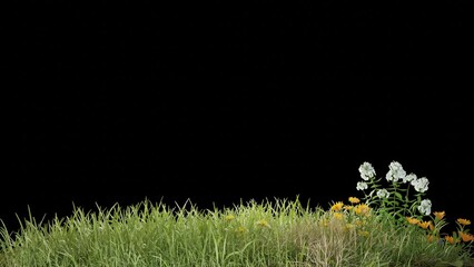 Aufkleber - grass field footage with wind plant animation transparent background design, 3d illustration rendering