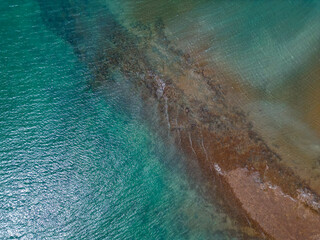 Canvas Print - Aerial over the ocean and reed