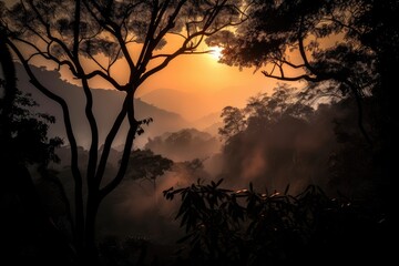 Wall Mural - smoky jungle, with view of the sunset and the silhouette of trees, created with generative ai