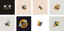 Set Of Cartoon Friendly Bee Flying. Insect Character. Vectors