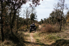 Stock Photo Of Unrecognizable Man Riding A Quad Bike Between Forest